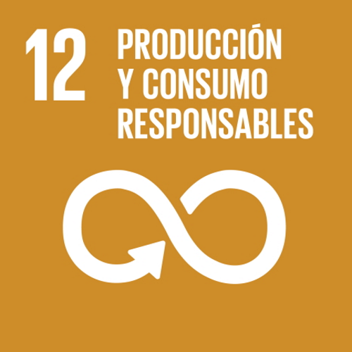 12. Garantizar modalidades de consumo y producción sostenibles